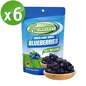 Frenature 富紐翠 加拿大 藍莓凍乾 25g x 6包組