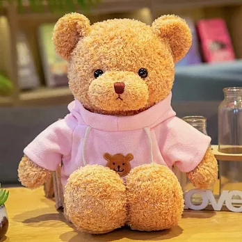 帕菲寶貝PuffyPals 泰迪熊海藻絨衛衣款 30cm絨毛玩具 粉紅