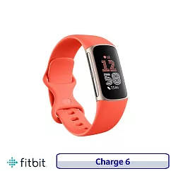 Fitbit Charge 6 進階運動健康智慧手環 心率追蹤 紅色