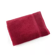 【Peter & Andy】純棉100% MIT設計製造::飯店等級浴巾-莫蘭迪系列  艷紅