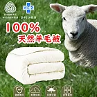 【家購網嚴選】100%頂級天然羊毛被 1入(180x210cm/入)