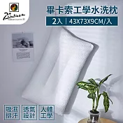 【家購網嚴選】畢卡索工學水洗枕 43x73x9cm (2入)