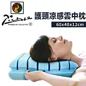 【家購網嚴選】畢卡索護頸涼感雲中枕 60x40x12cm (1入)