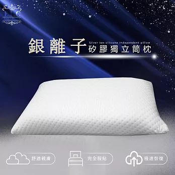 【家購網嚴選】銀離子矽膠包覆獨立筒枕 1入(45x74cm/入)
