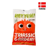 【PALIER】HEY YUM! 丹麥優格水果軟糖100g-