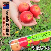 【阿成水果】紐西蘭樂淇管裝小蘋果12管(4粒/424g/管)