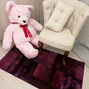 【Fuwaly】德國Esprit home紫淵地毯(ESP2827-02) 70x140cm
