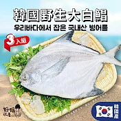 【好嬸水產】韓國直送-野生白鯧-300G 3入(免運組)