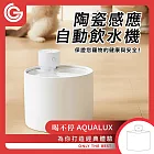 grantclassic 喝不停 AquaLux 寵物智能陶瓷飲水機 寵物飲水機