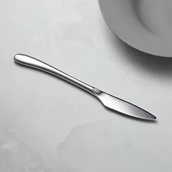 有種創意 - 日本山崎金屬 - AQUATIQUE系列 - 霧面不鏽鋼晚餐刀 (229 mm)