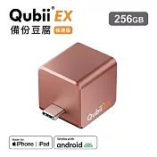 Maktar QubiiEX USB-C 極速版 備份豆腐 手機備份 內含記憶體  玫瑰金 256G