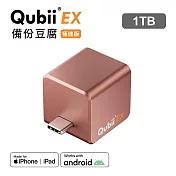 Maktar QubiiEX USB-C 極速版 備份豆腐 手機備份 內含記憶體 1TB  玫瑰金 1TB