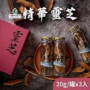 【台灣精華食品】精華靈芝 1盒(20gx3入/盒)