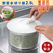日本製 沙拉蔬果清洗脫水器手搖瀝水籃 蔬菜旋轉脫水機 濾水籃2.5L(1入)