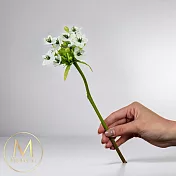 【Floral M】伯利恆之星白色天鵝絨仿真花花材 （2入組）