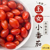 【禾鴻】高雄美濃溫室玉女小番茄3斤x2盒