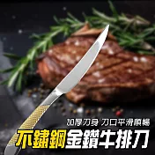 不鏽鋼牛排刀 刀子 切片刀 料理刀 水果刀 餐具 舒適手柄 刀具 切牛排刀 GSK23