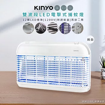 【KINYO】雙面大範圍電擊式捕蚊燈/雙波誘蚊捕蚊器(KL-8121)UVA雙波長365nm+395nm -白色