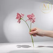 【Floral M】夏日森系小雛菊戴安娜粉仿真花花材（3入/組）