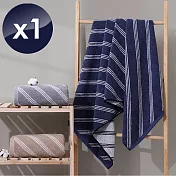 【HKIL-巾專家】斜條純棉浴巾-1入組 灰色
