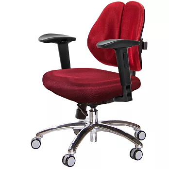 GXG 低雙背 工學椅(鋁腳/2D滑面升降扶手)  TW-2605 LU2J