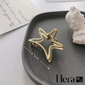 【Hera赫拉】磨砂設計時髦多元啞光抓夾/髮夾-5款 海星