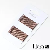 【Hera赫拉】韓國網紅款一字夾髮夾-36根一卡-2色 棕色