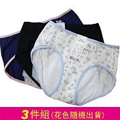 【華歌爾】少女生理褲M-LL(日間或夜間隨機)BS系列生理褲 L L (日間X2+夜間X1)