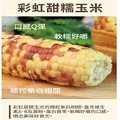 【炳叔烤玉米】水煮玉米20支(200g/支)