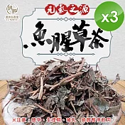 【麗紳和春堂】魚腥草茶(4gx10包/袋)x3袋