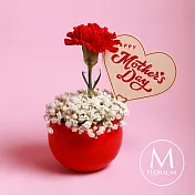 【Floral M】單隻康乃馨鮮花盆花禮- Coco Lady胭脂紅