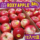 【壽滿趣】紐西蘭原裝Roxy脆甜蘋果12入x2盒