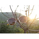 太陽眼鏡 2is KaceC│簡約小方框│金色│抗UV400