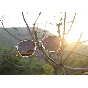 太陽眼鏡 2is KaceC│簡約小方框│金色│抗UV400