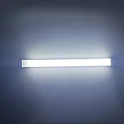 【WIDE VIEW】30公分LED感應燈條(人體感應燈 小夜燈 櫥櫃燈 衣櫃燈/ali-30) 冷色光