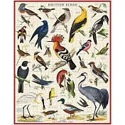 美國 Cavallini & Co. 1000片拼圖  英國鳥類