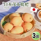 【優鮮配】初夏的味蕾-空運日本長崎縣溫室茂木枇杷3盒(250g/盒/6-8顆)免運