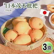 【優鮮配】初夏的味蕾-空運日本長崎縣溫室茂木枇杷3盒(250g/盒/6-8顆)免運