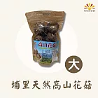 【亞源泉】埔里天然高山花菇 3包組 大朵 (100g/包)
