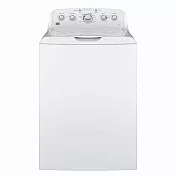GE奇異 15公斤 變頻直立式洗衣機-GTW465ASNWW 白色
