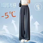【BJ COLLECTION】日系冰絲涼感降溫寬褲BJC40041 FREE 灰色