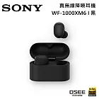 【早鳥註冊送500】SONY 索尼 WF-1000XM6 主動式降噪 真無線入耳式耳機 台灣公司貨 黑